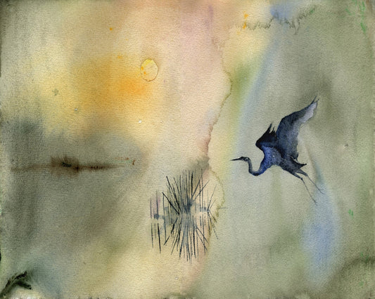 Marsh Heron Flight