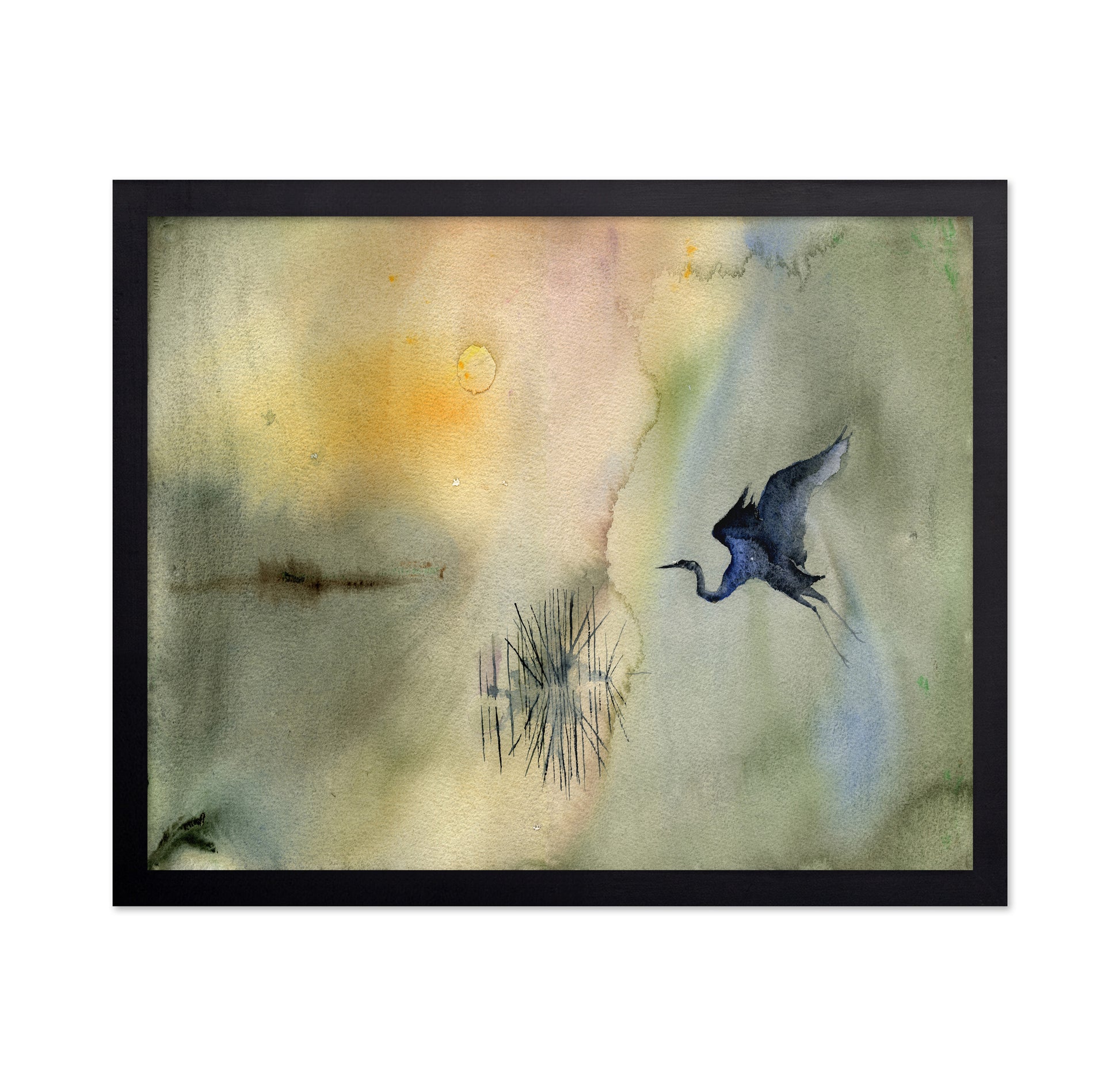 Marsh Heron Flight
