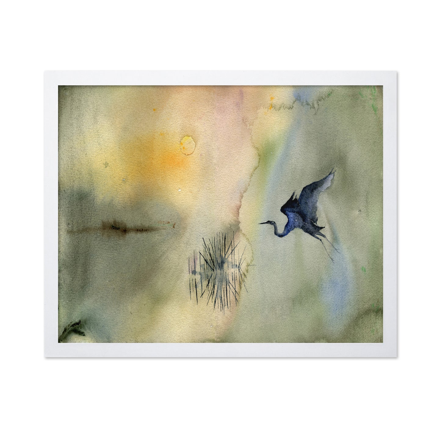 Marsh Heron Flight
