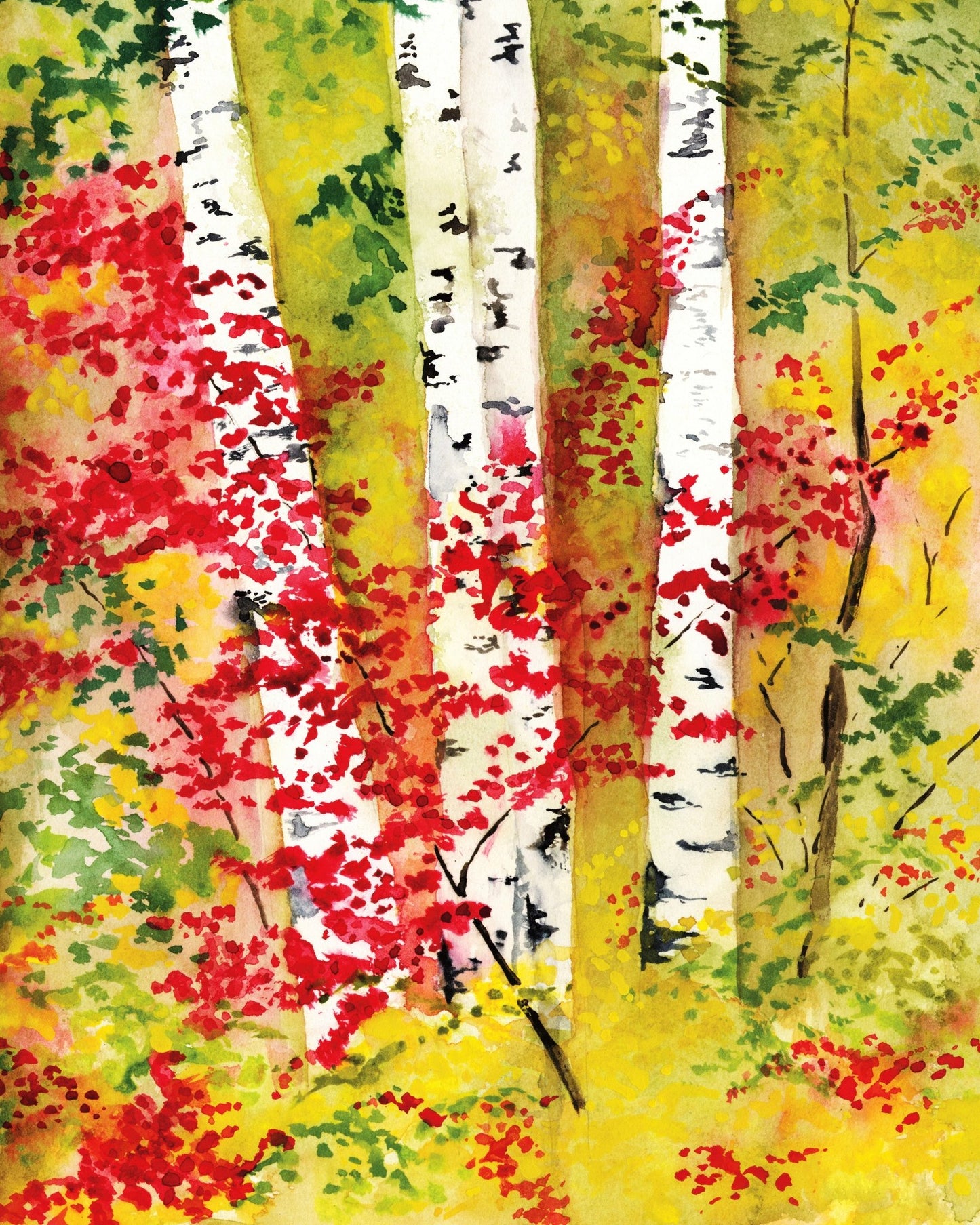 Autumn Birch Grove