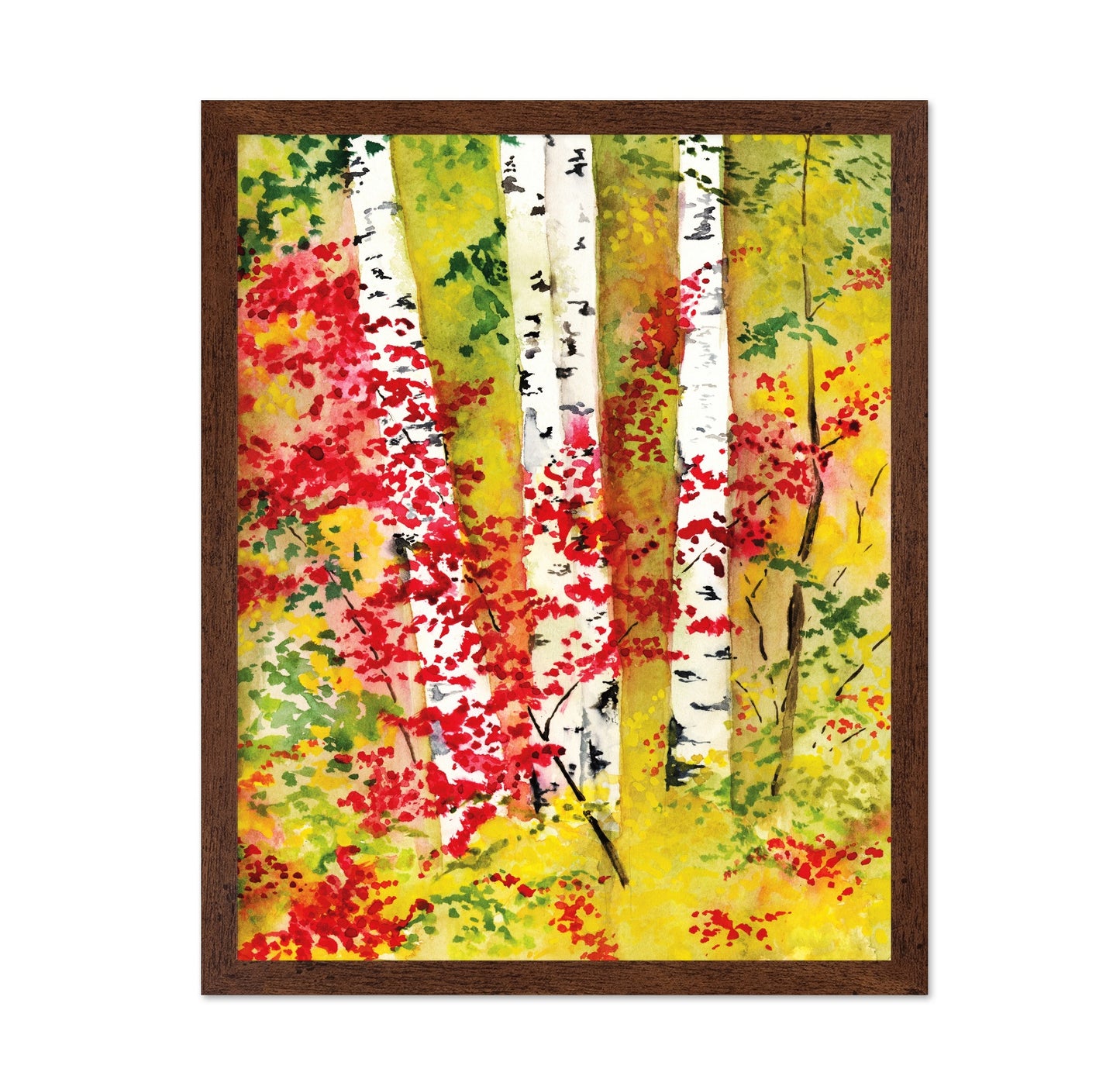 Autumn Birch Grove