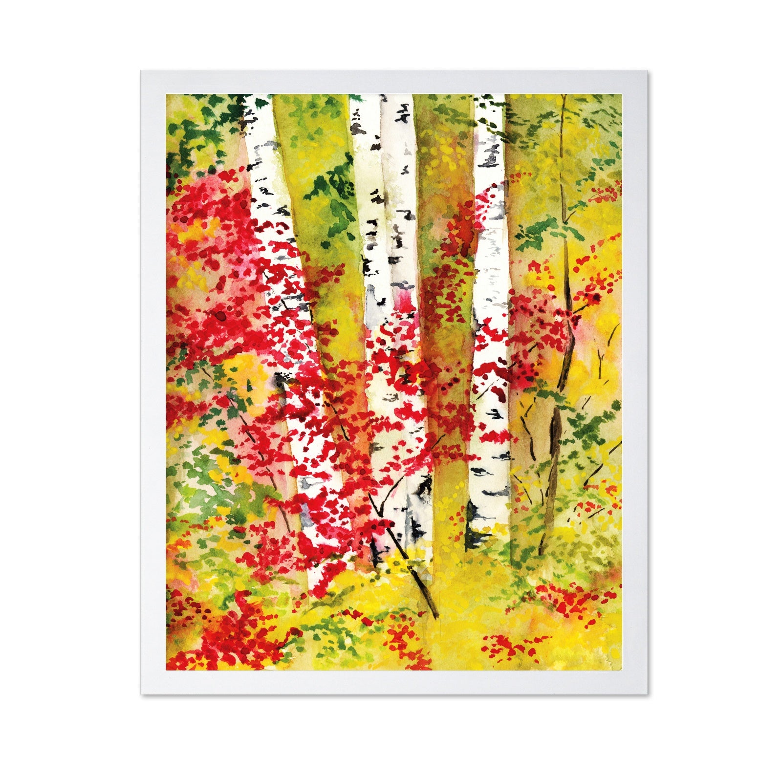 Autumn Birch Grove
