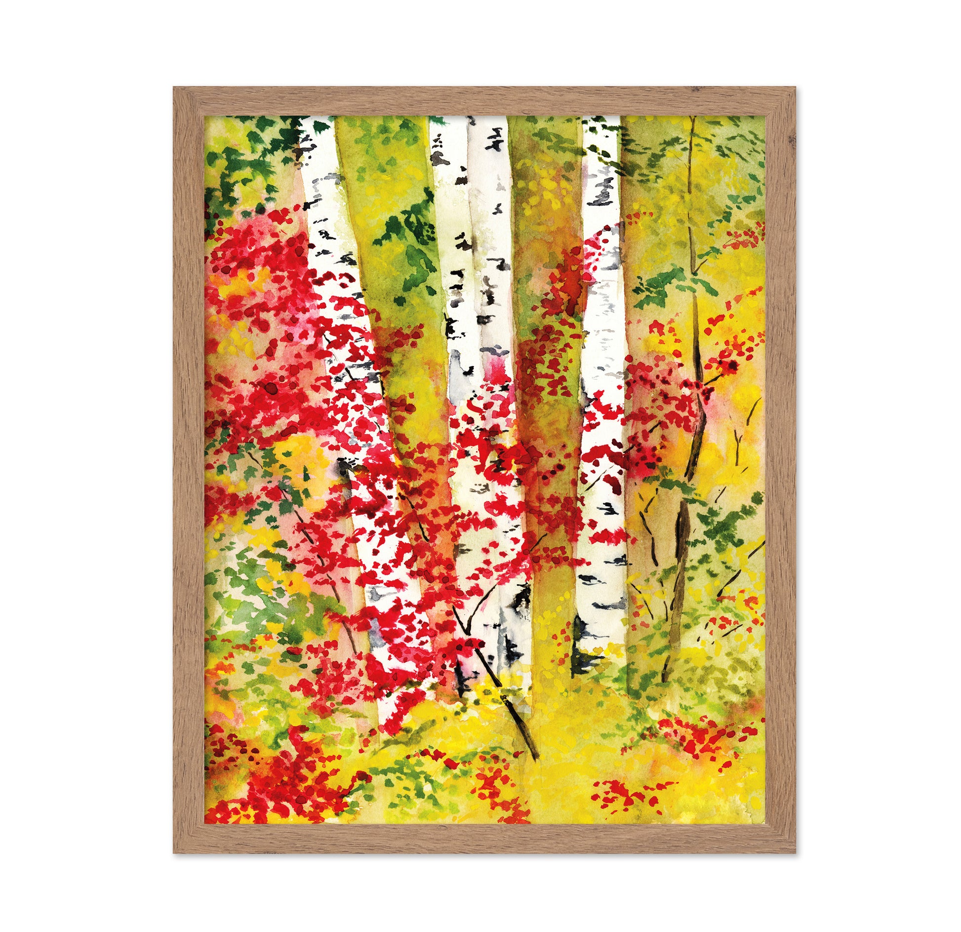 Autumn Birch Grove