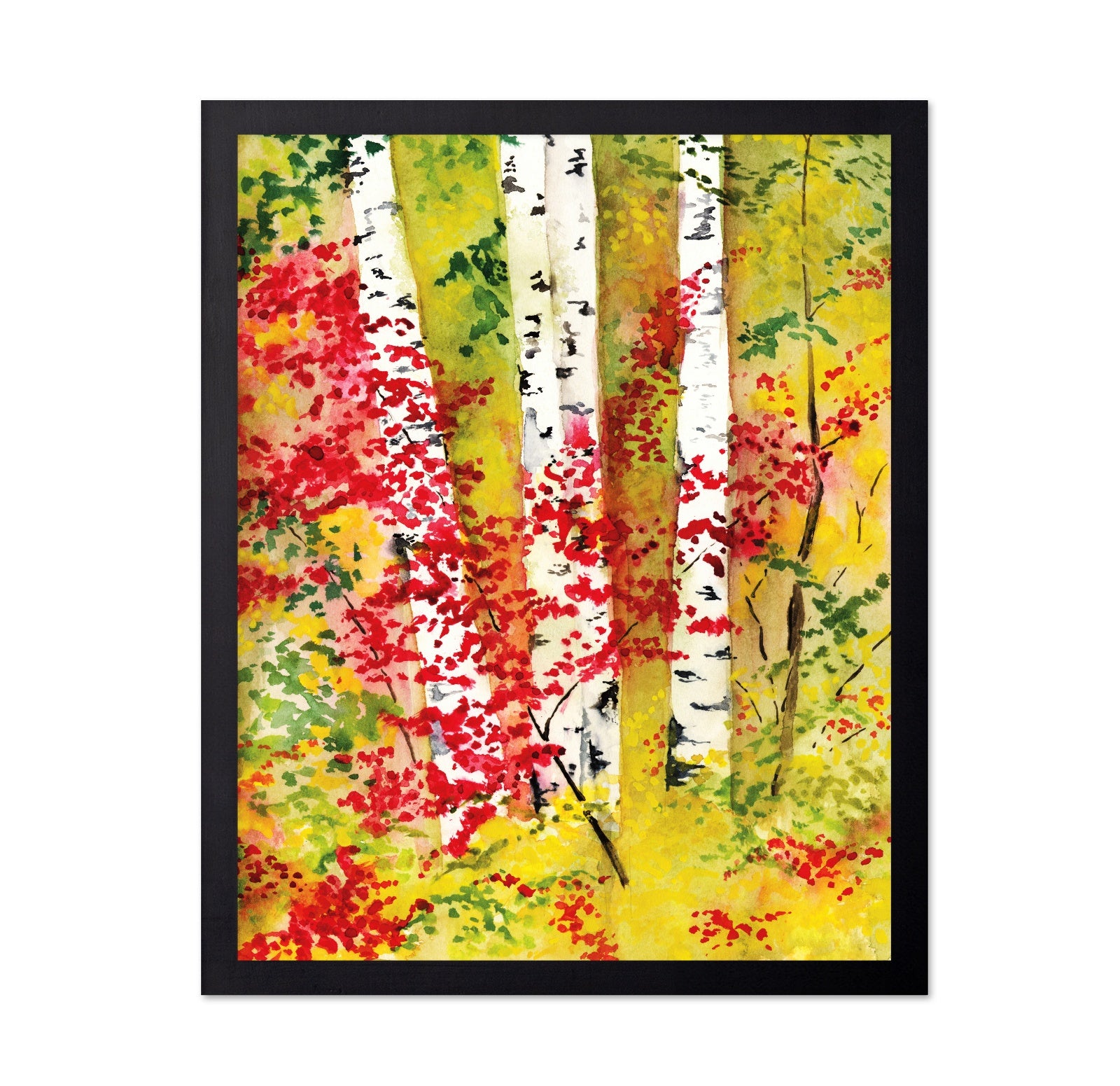Autumn Birch Grove