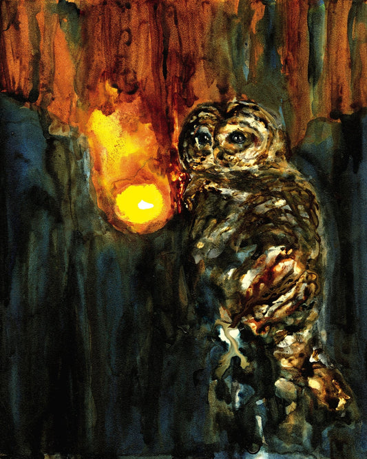 Owl In Ember Glow