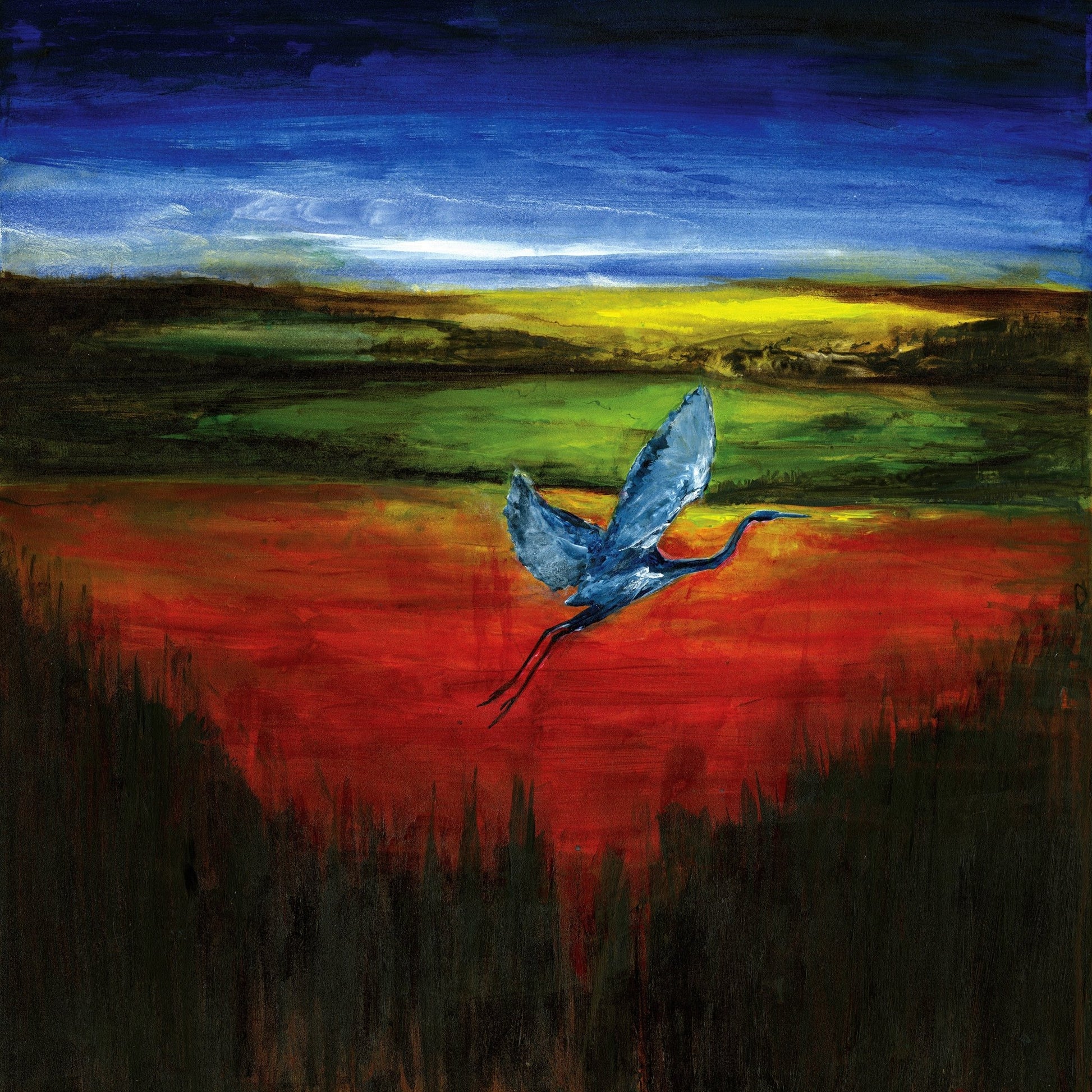 Crimson Heron Flight