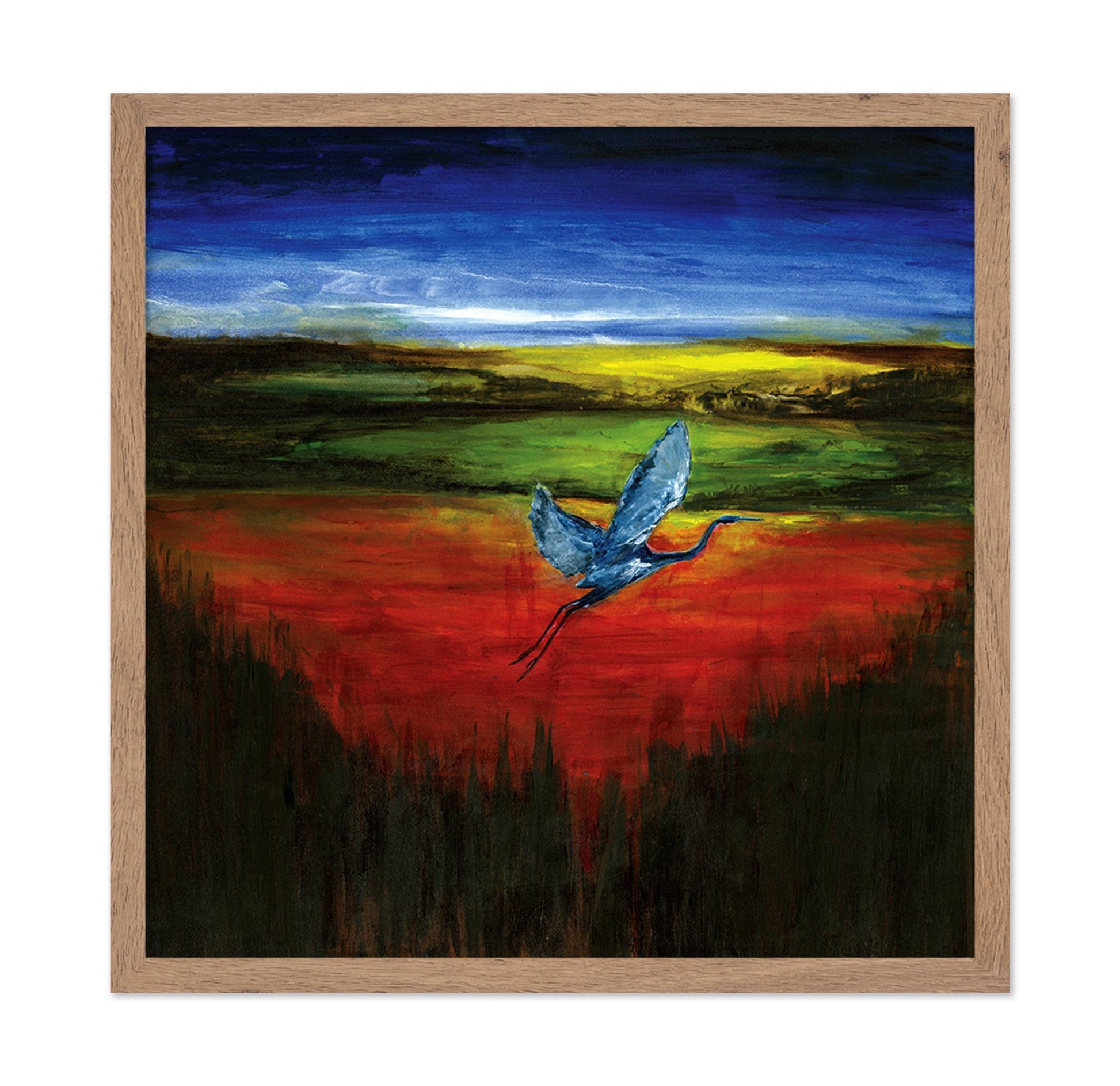 Crimson Heron Flight