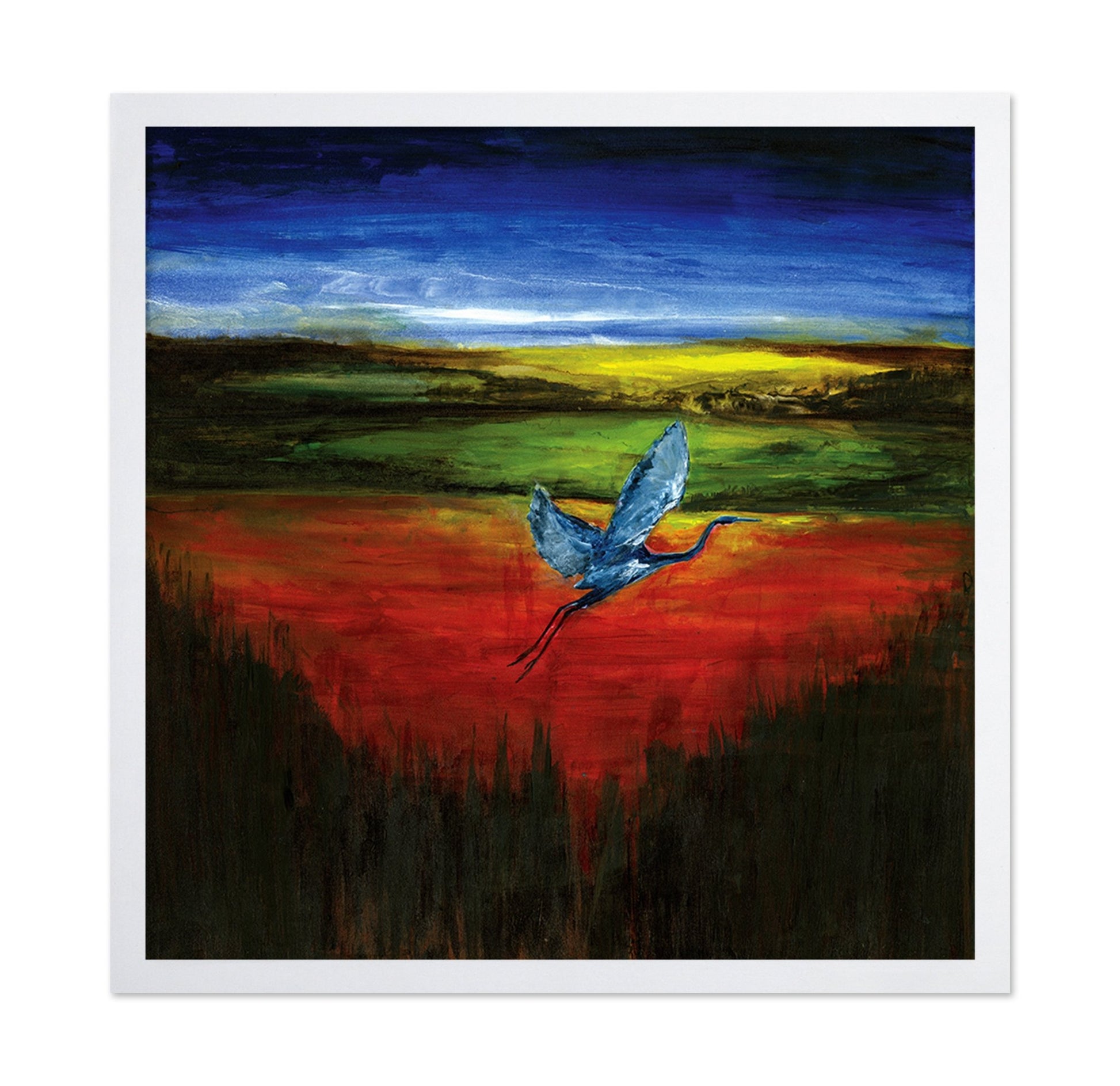 Crimson Heron Flight