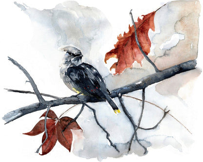 Waxwing Autumn Branch