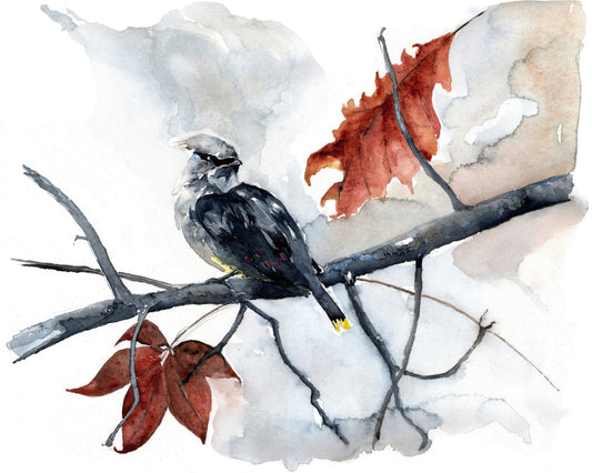 Waxwing Autumn Branch