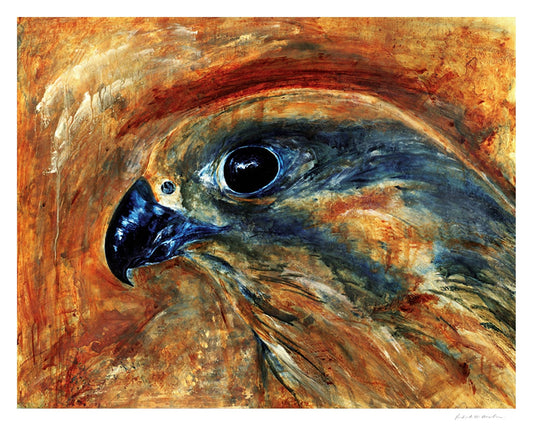 Falcon Focus