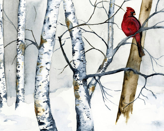 Cardinal Winter Birch
