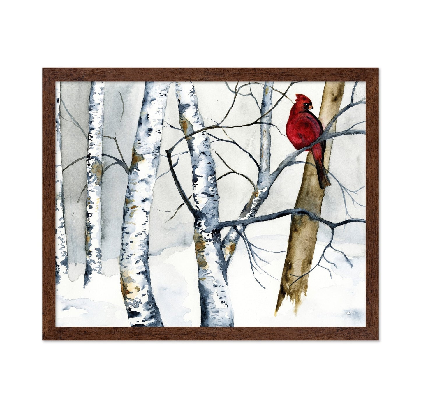 Cardinal Winter Birch