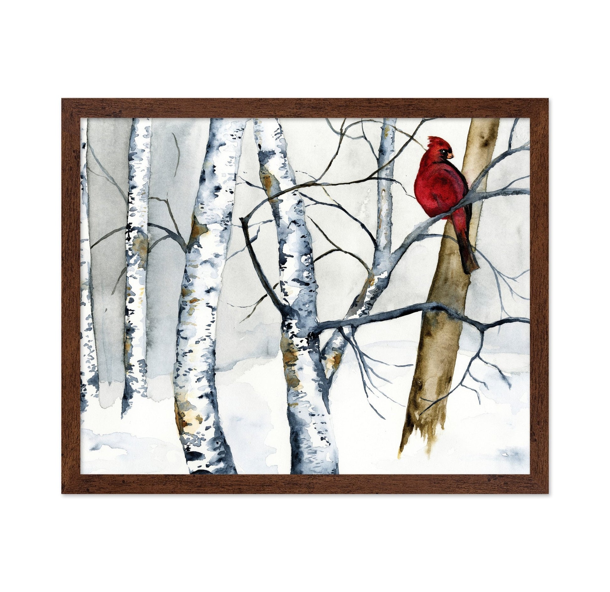 Cardinal Winter Birch