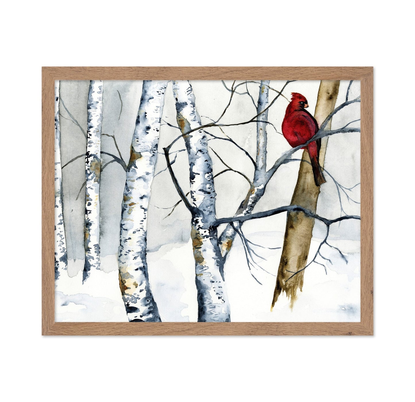 Cardinal Winter Birch