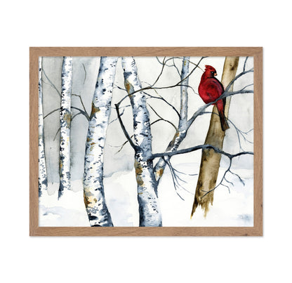 Cardinal Winter Birch