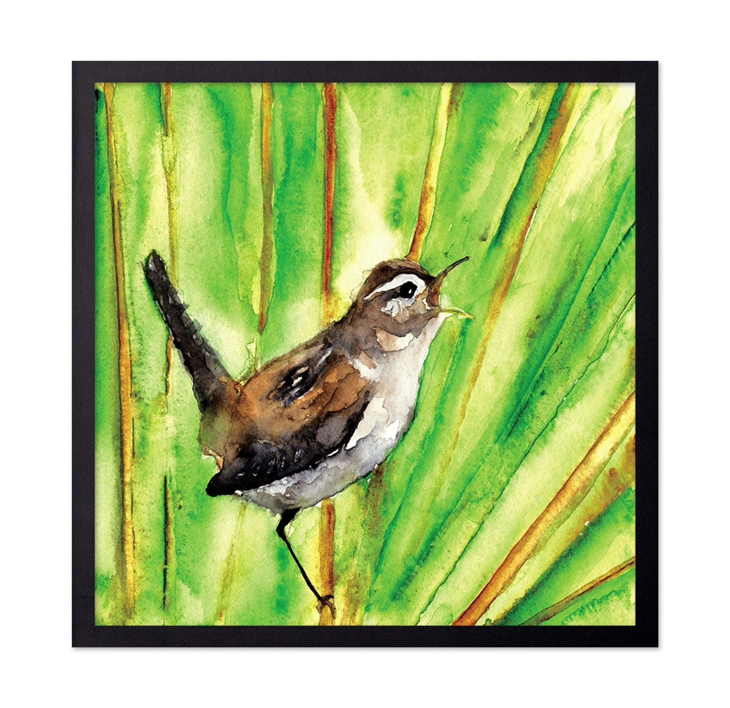 Singing Wren