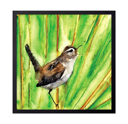 Singing Wren