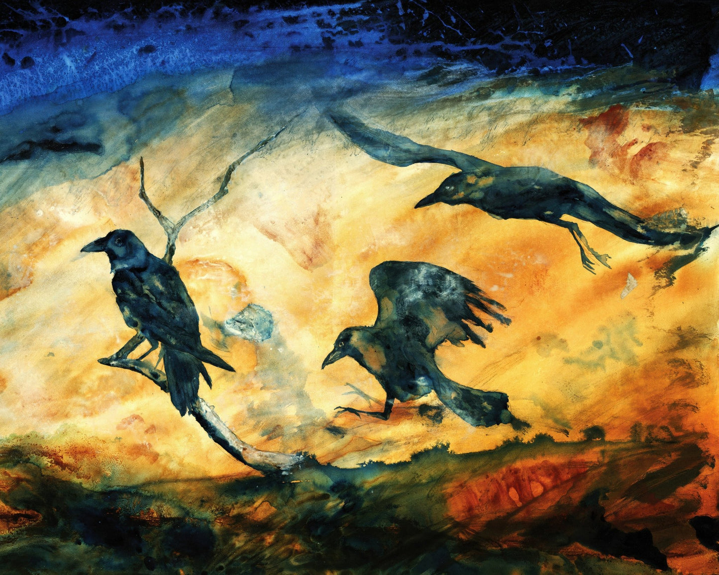 Raven Trio Flight
