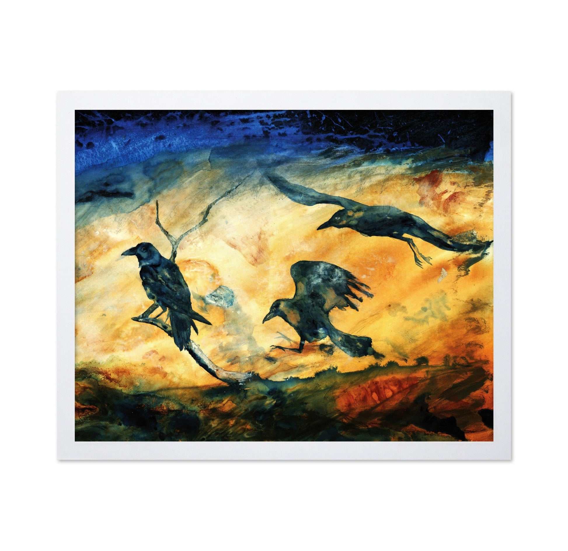 Raven Trio Flight