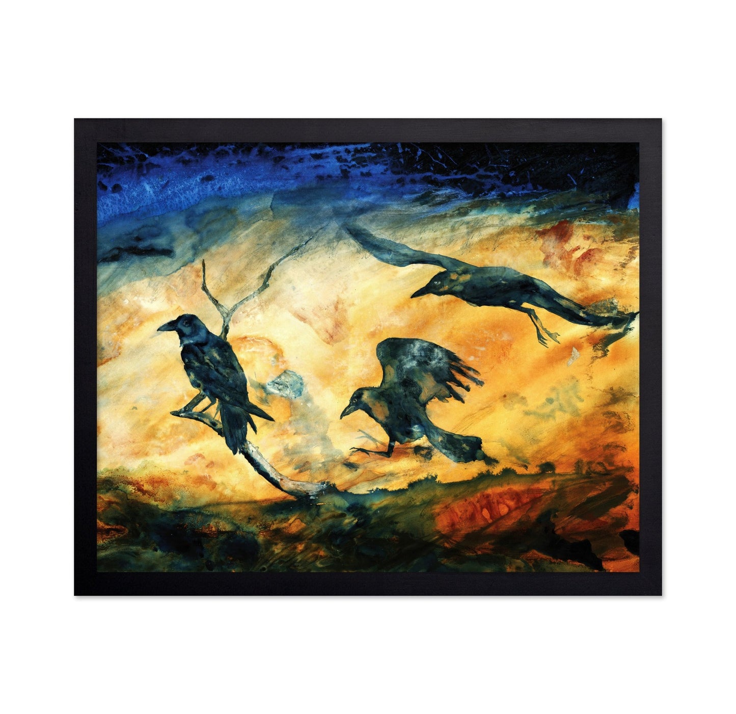 Raven Trio Flight
