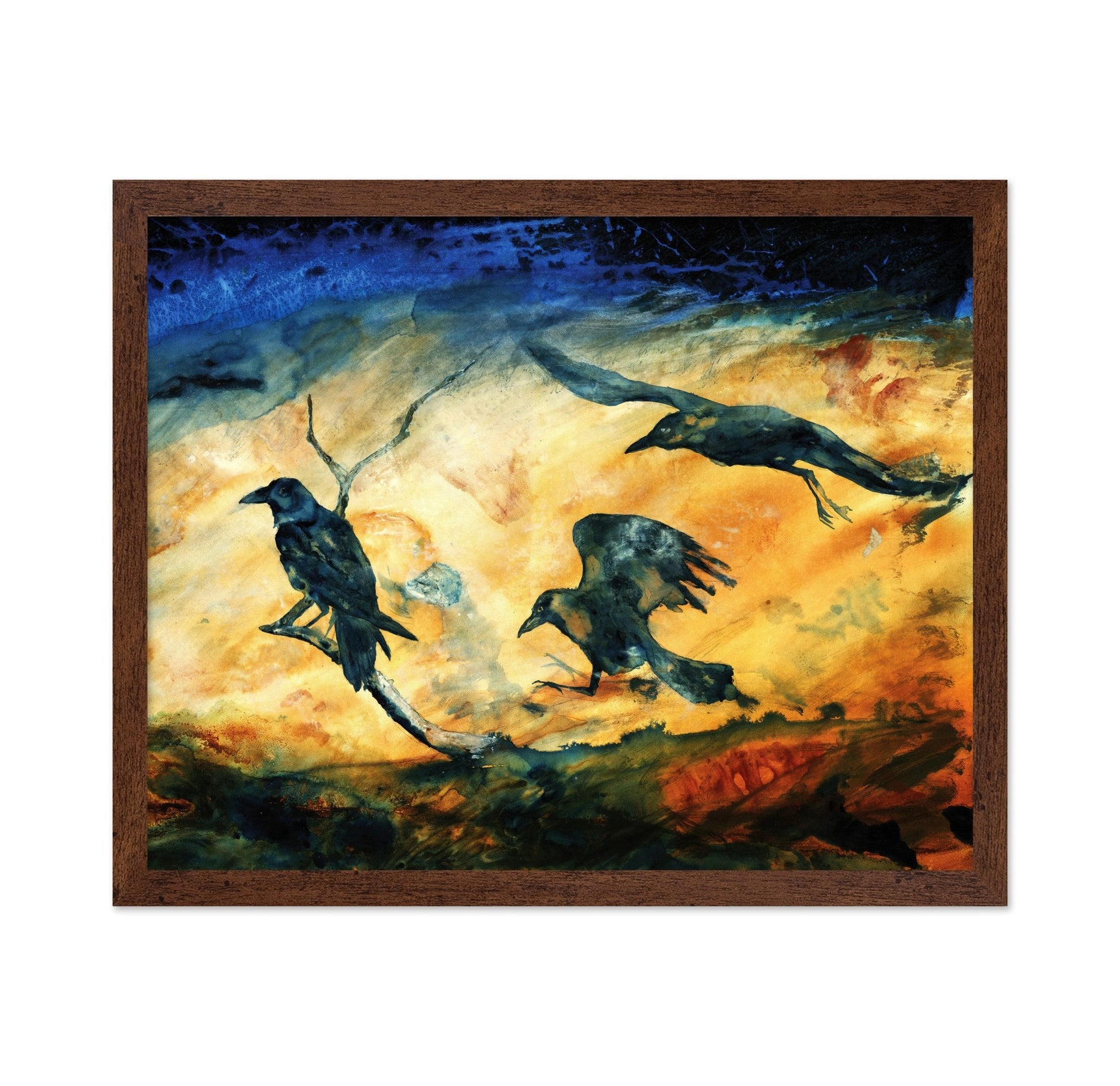 Raven Trio Flight