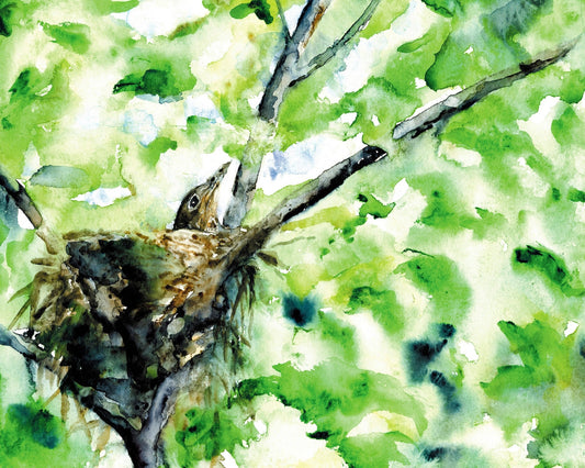 Nestling Bird
