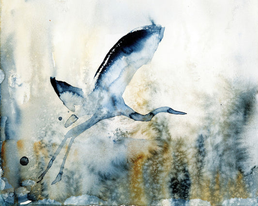 Misty Heron Flight