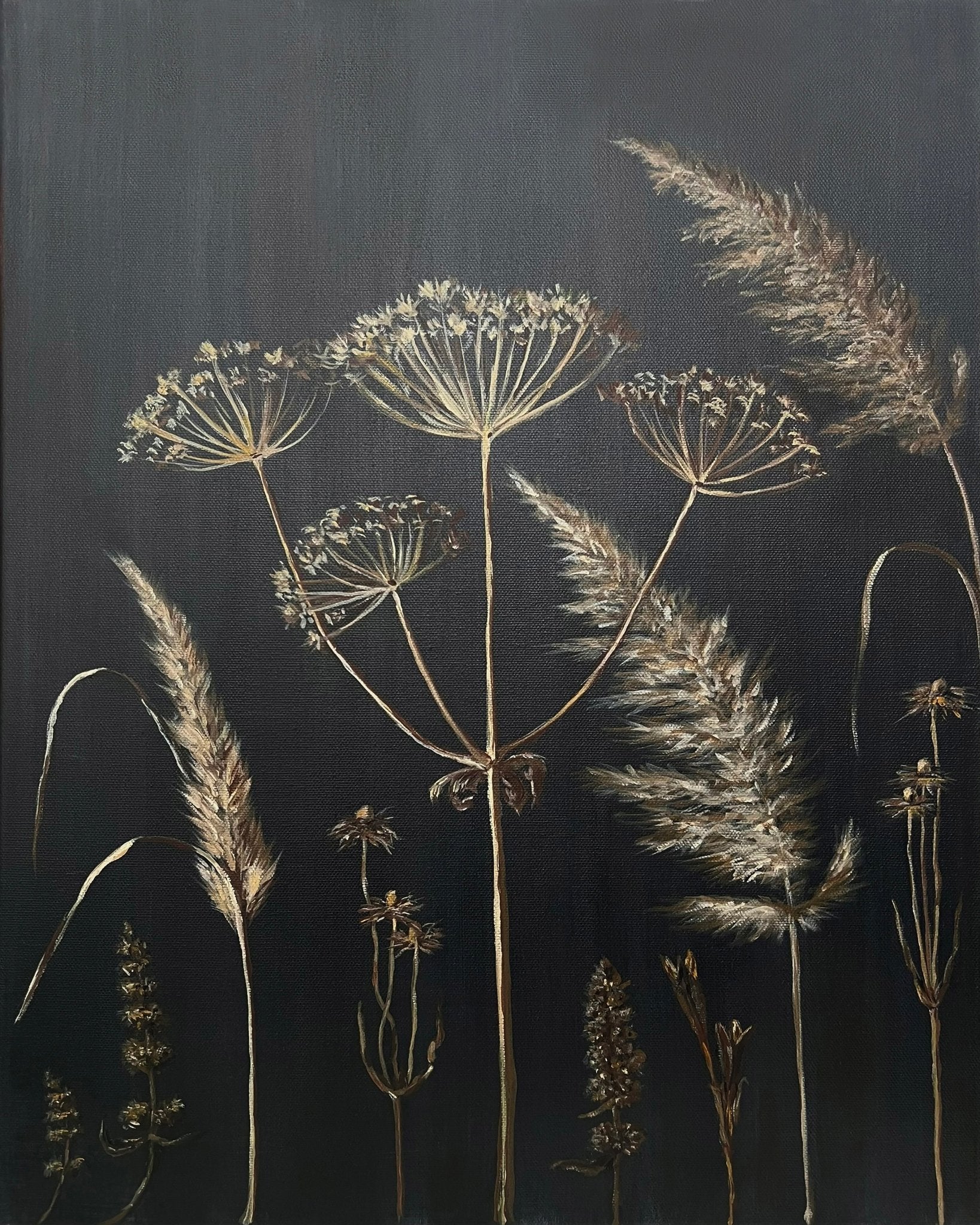 Dried Botanical Study No3