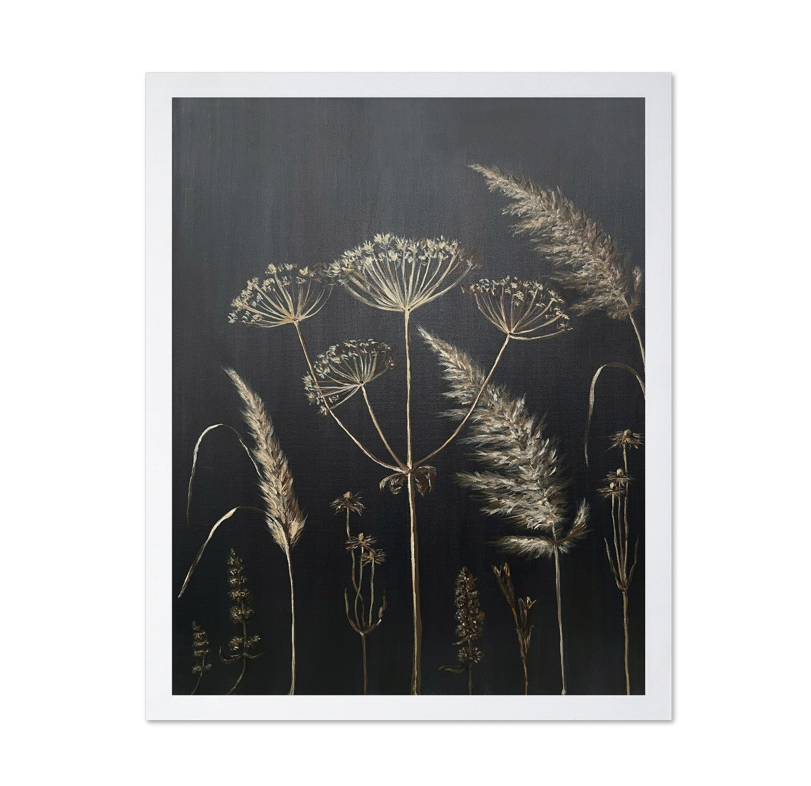 Dried Botanical Study No3