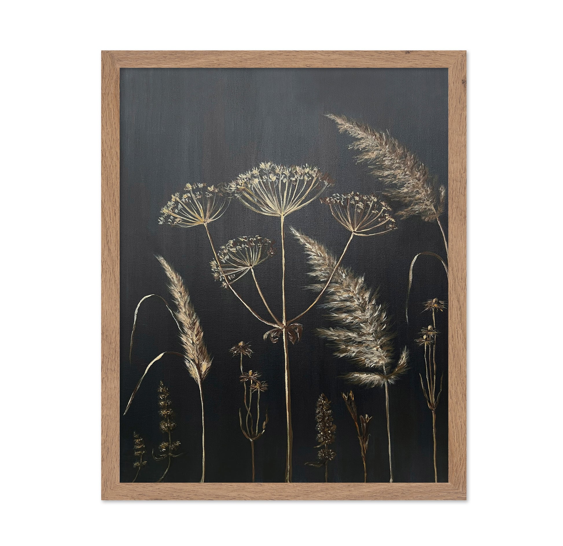 Dried Botanical Study No3