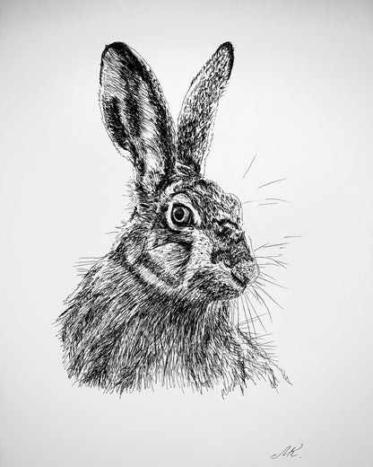 Detailed Hare Sketch