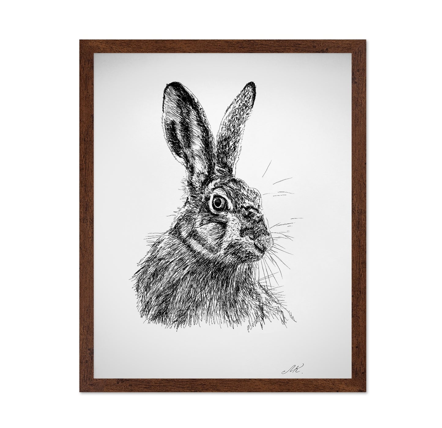 Detailed Hare Sketch