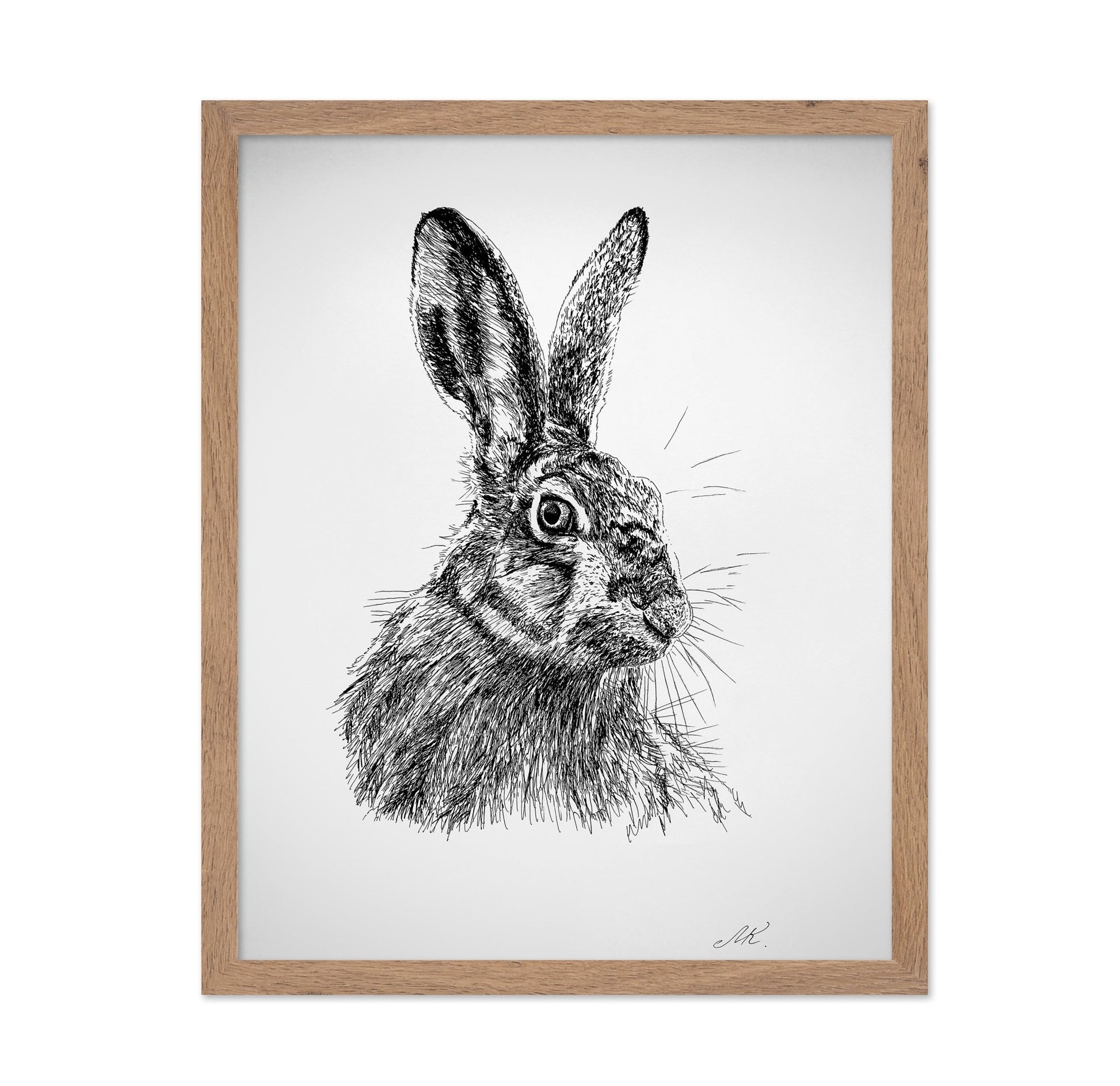 Detailed Hare Sketch