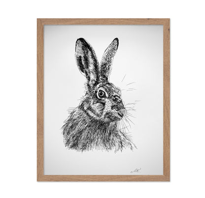 Detailed Hare Sketch