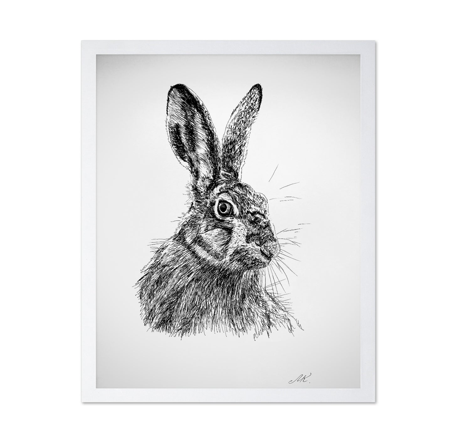 Detailed Hare Sketch