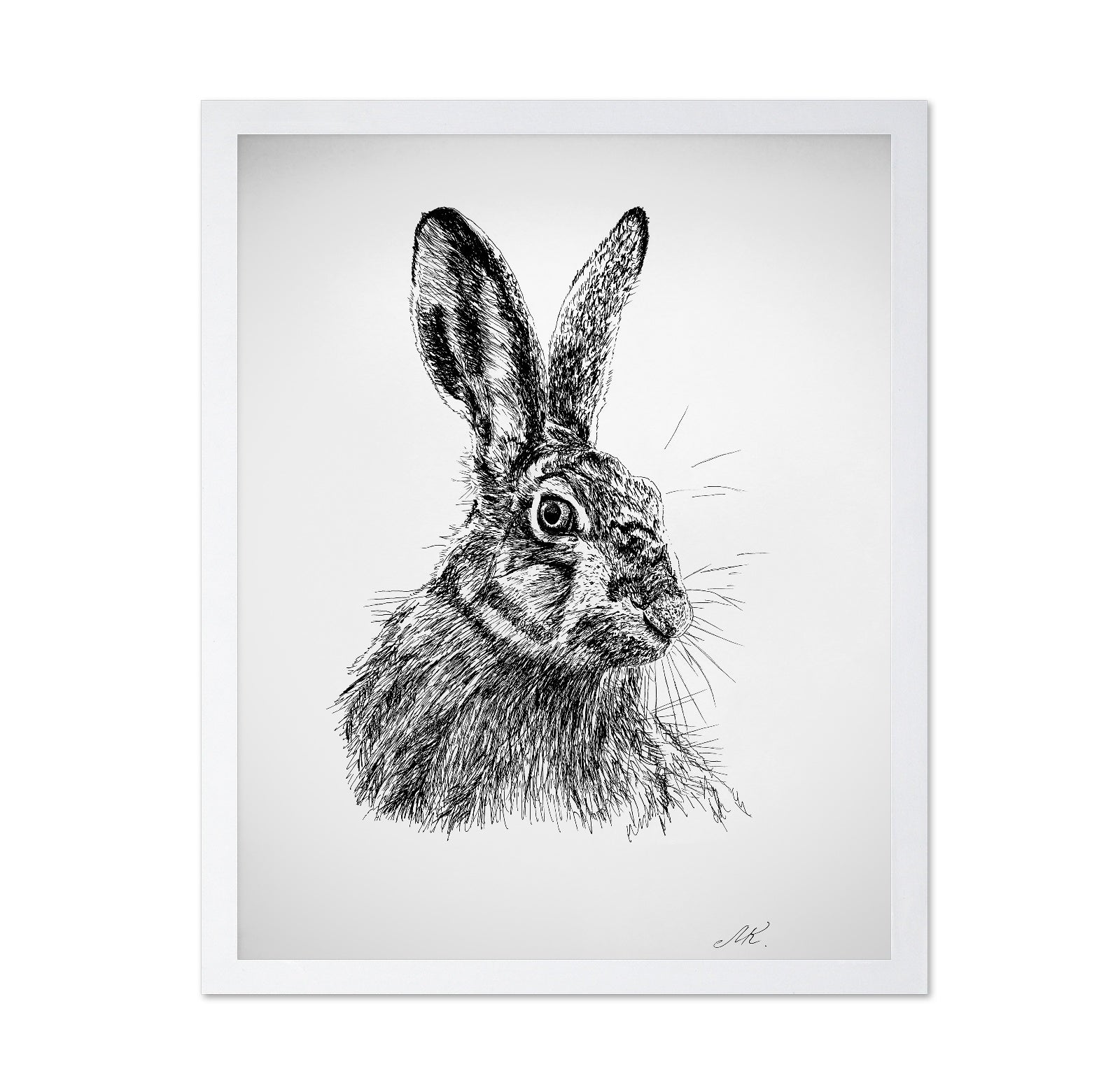 Detailed Hare Sketch