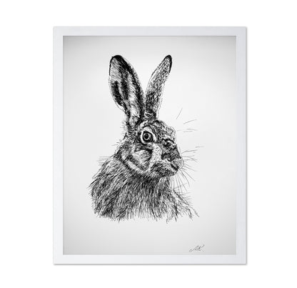 Detailed Hare Sketch