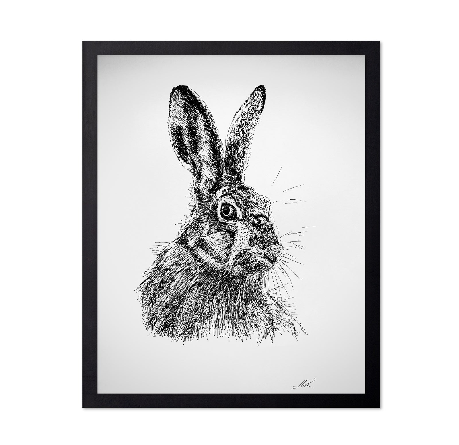 Detailed Hare Sketch