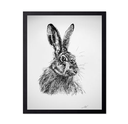 Detailed Hare Sketch