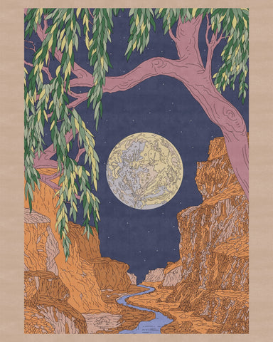 Moonlit Canyon Dream