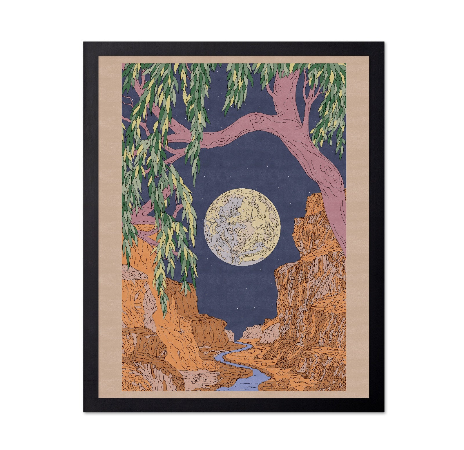 Moonlit Canyon Dream