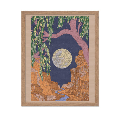Moonlit Canyon Dream