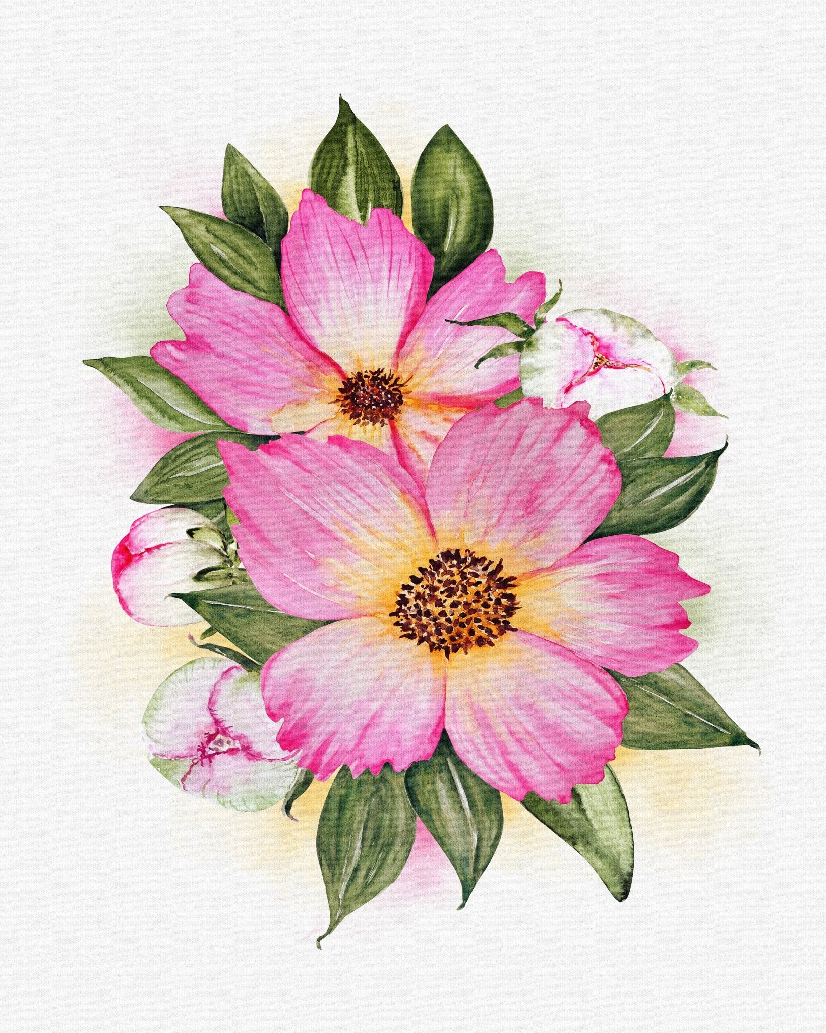 Pink Peony Bloom No1