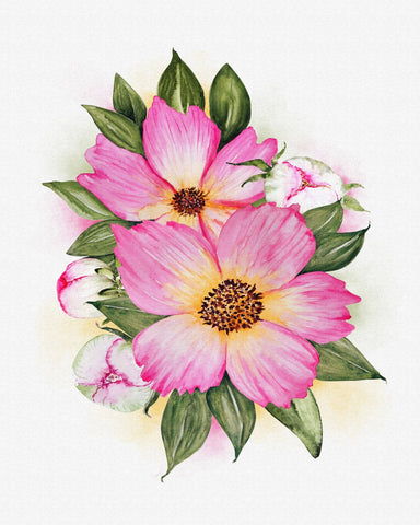 Pink Peony Bloom No1