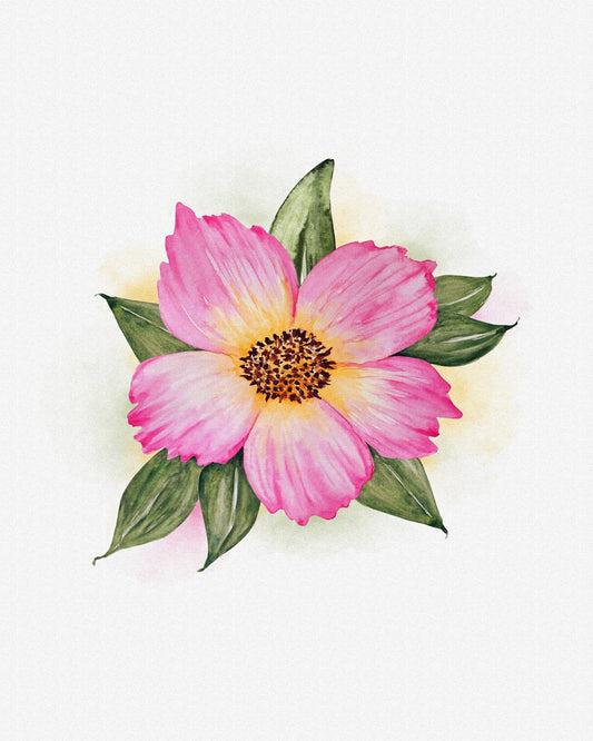 Single Peony Bloom