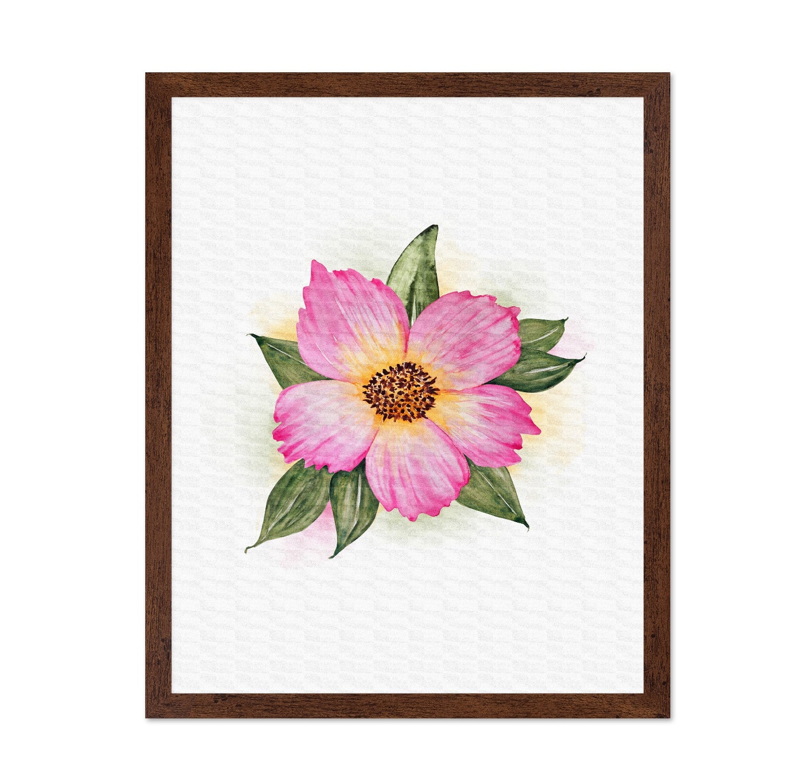 Single Peony Bloom