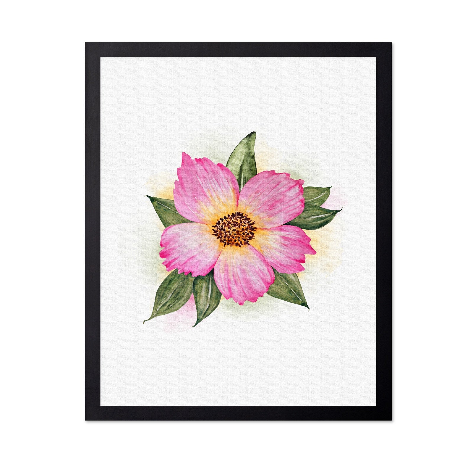 Single Peony Bloom
