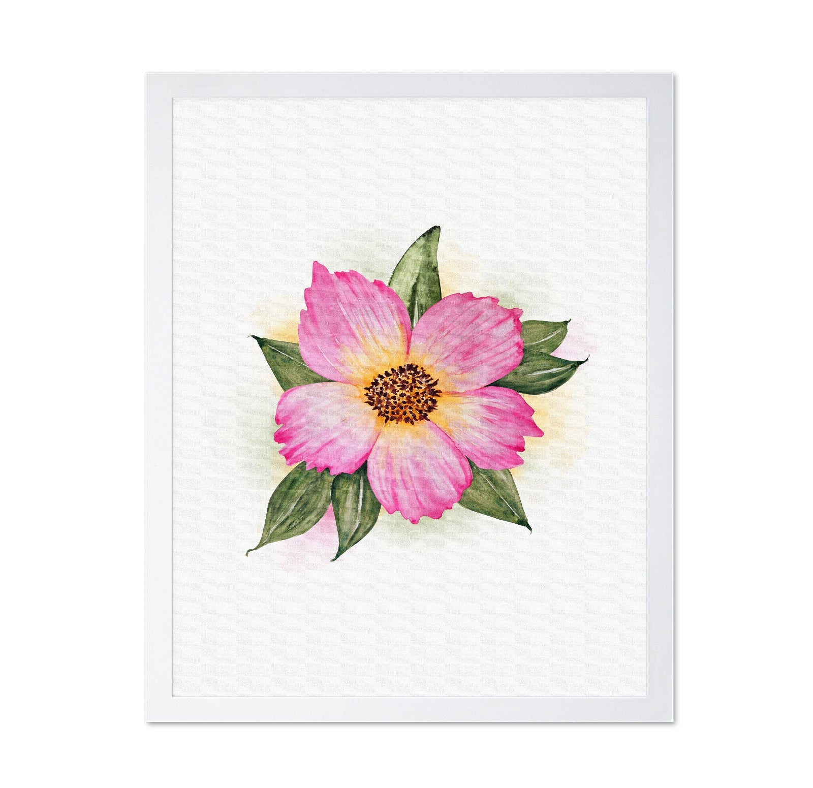 Single Peony Bloom