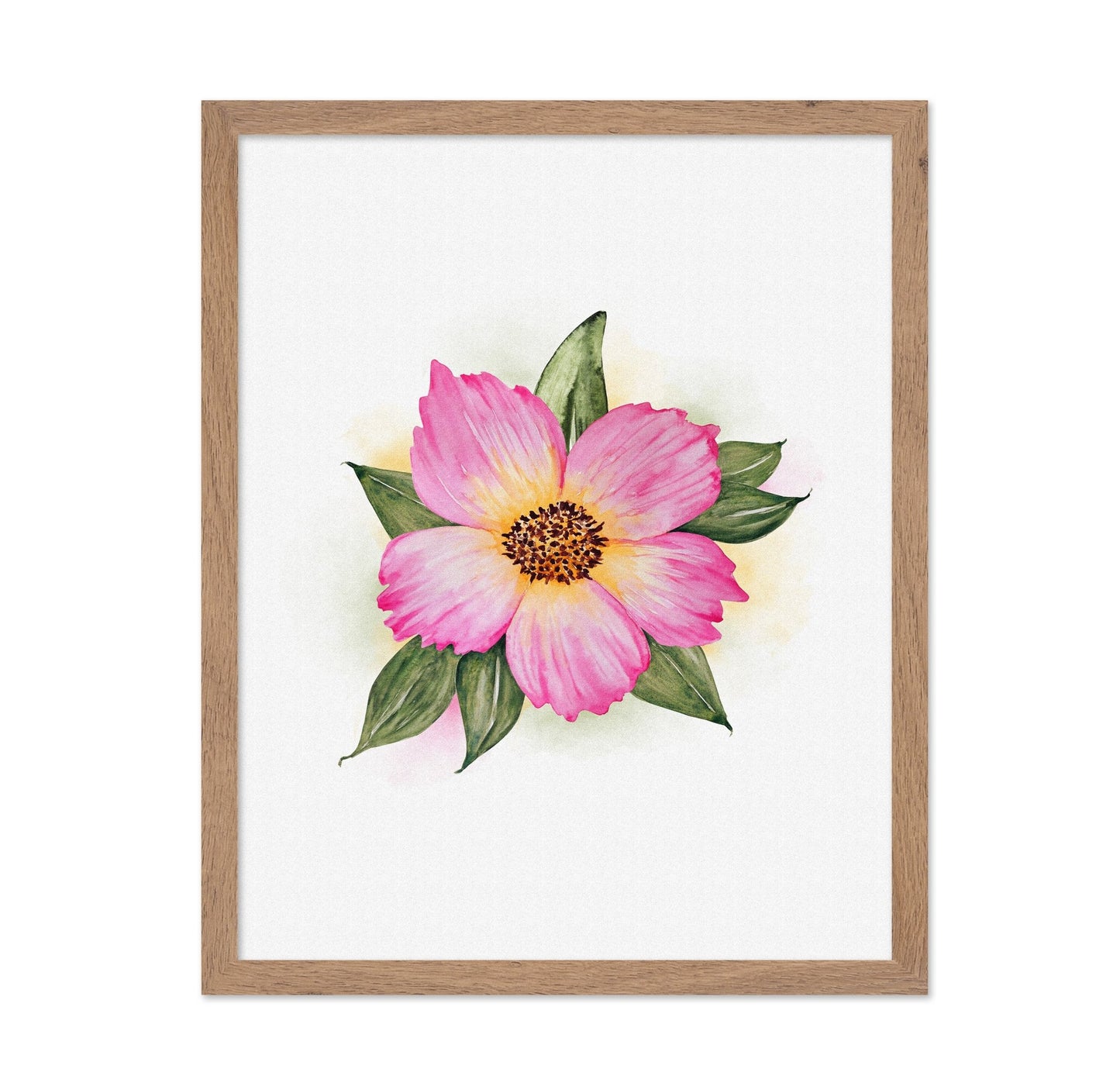 Single Peony Bloom